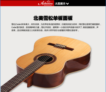 面单N100